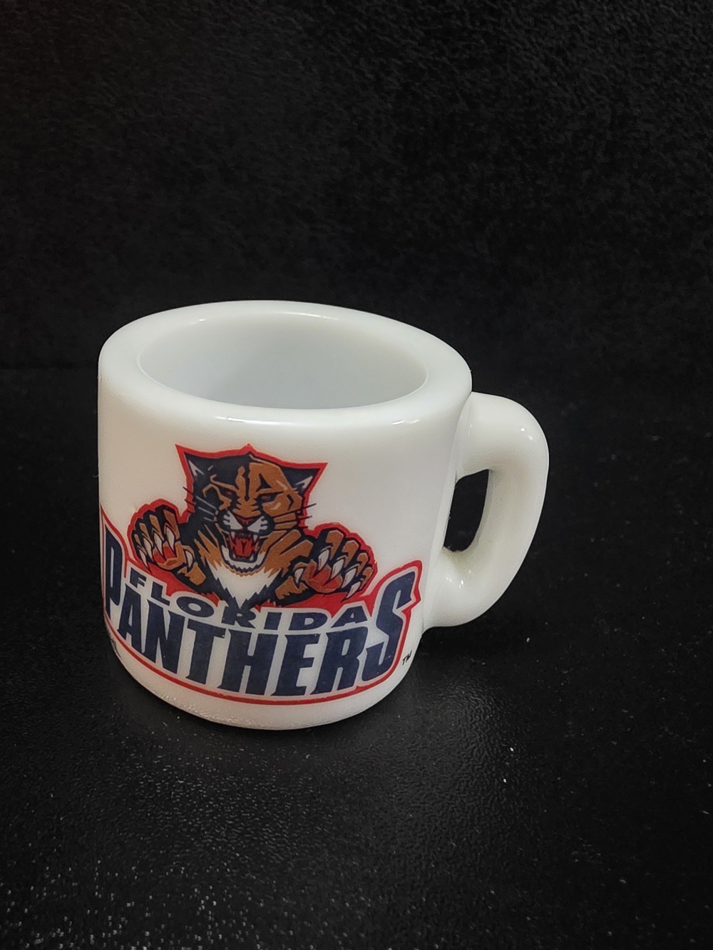 Florida panthers mini Mug - Picture 2 of 4